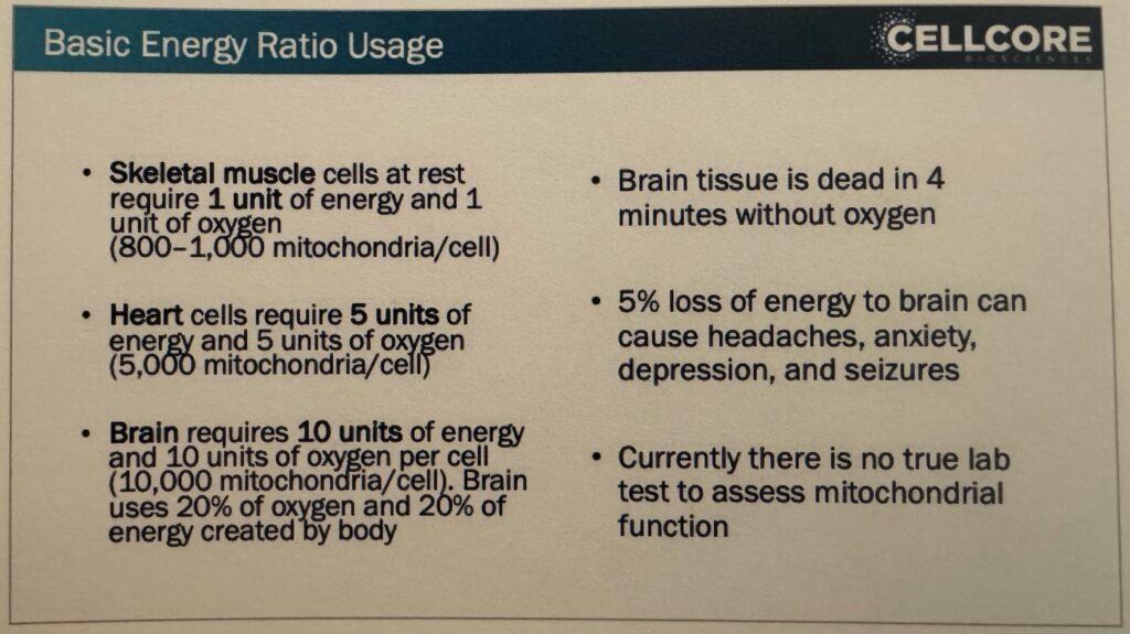 Une image qui parle de l'importance des mitochondries pour l'énergie qui elle, est importante pour adresser la procrastination